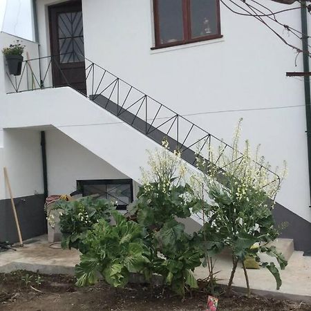 Casa Isabel 2 Bedroom Apartment Near Porto Fanzeres Kültér fotó